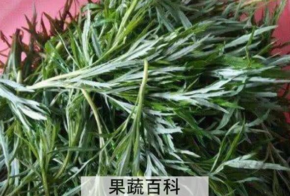 柳叶蒿的功效与作用 柳叶蒿怎么吃