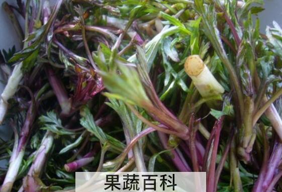 柳叶蒿的功效与作用 柳叶蒿怎么吃