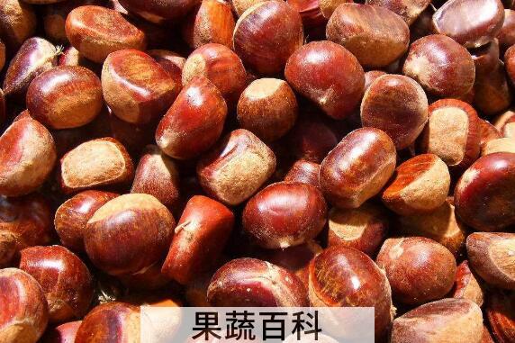 生板栗剥皮怎么剥 怎样快速剥生板栗的皮