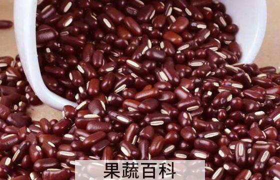 赤小豆和红豆的区别 赤小豆的功效