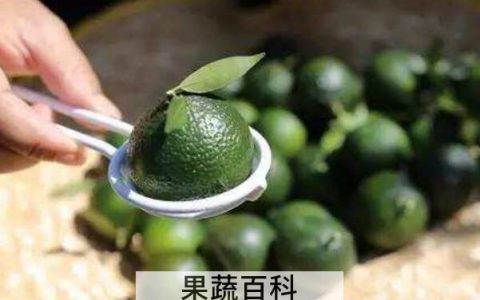 小红柑和小青柑的区别