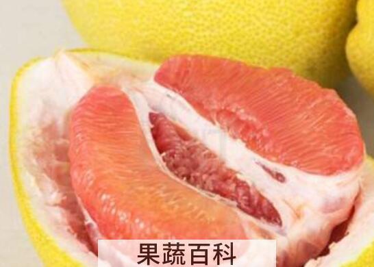 红心文旦柚的功效与作用