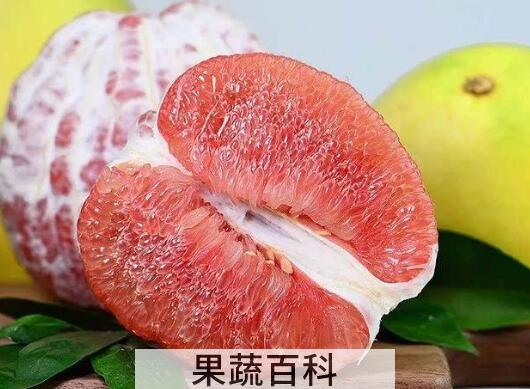 红心文旦柚的功效与作用