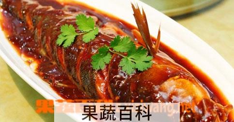 果蔬百科鲤鱼怎么做好吃