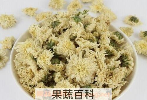 菊花的作用与功效有哪些