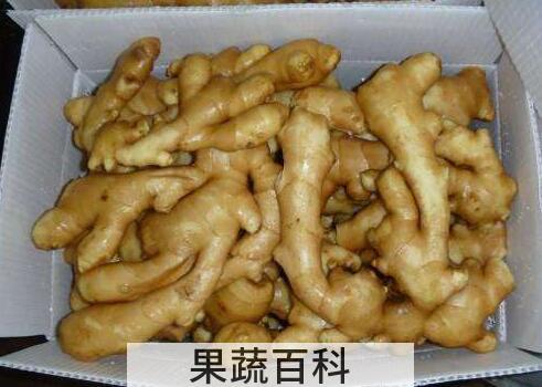 烧姜入药的功效与作用