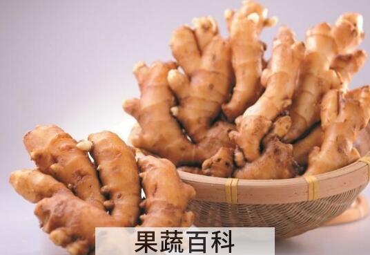 烧姜入药的功效与作用