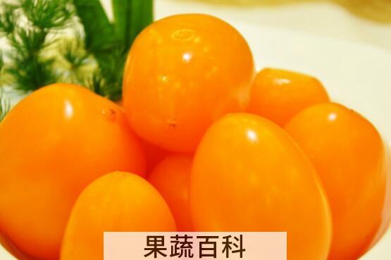 黄柿子的功效与作用