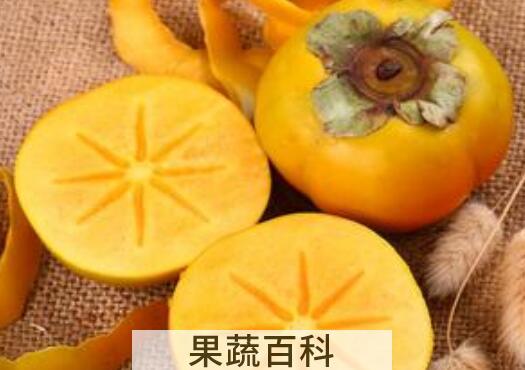 黄柿子的功效与作用