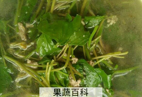 马蹄草怎么吃 马蹄草的食用方法