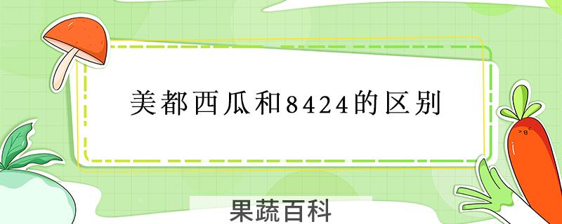 美都西瓜和8424的区别