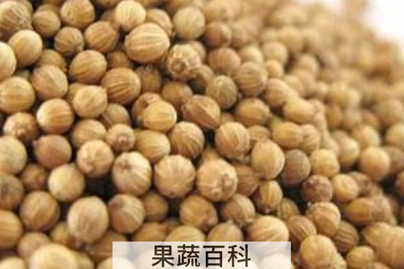 芜荽子怎样食用 芫荽籽怎么吃