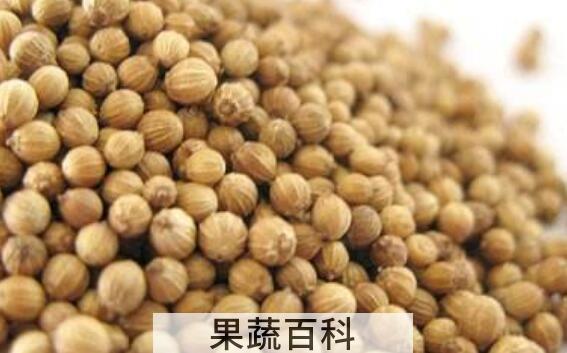 芫荽子的功效与作用 芫荽子的副作用