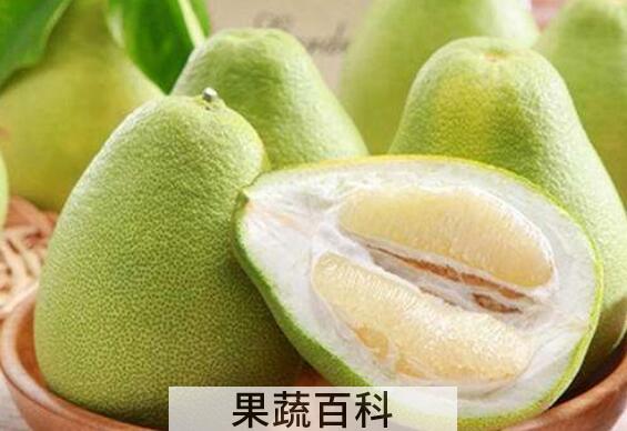度尾文旦柚的功效与作用