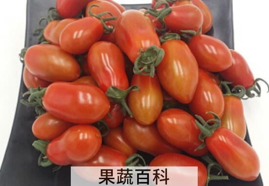  奶柿子和圣女果的区别 吃奶柿子的好处