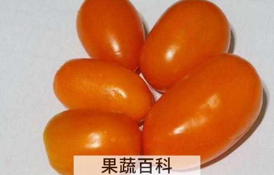 什么是奶柿子 奶柿子的功效与作用