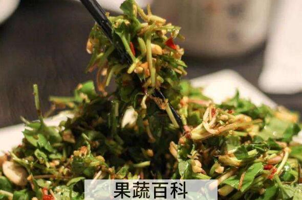 马蹄叶怎么吃 马蹄叶的吃法大全