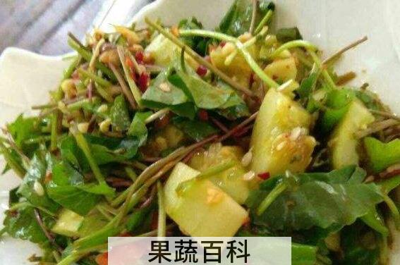 马蹄叶怎么吃 马蹄叶的吃法大全