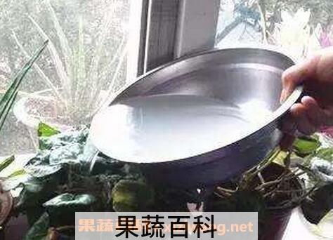 如何使用淘米水浇花