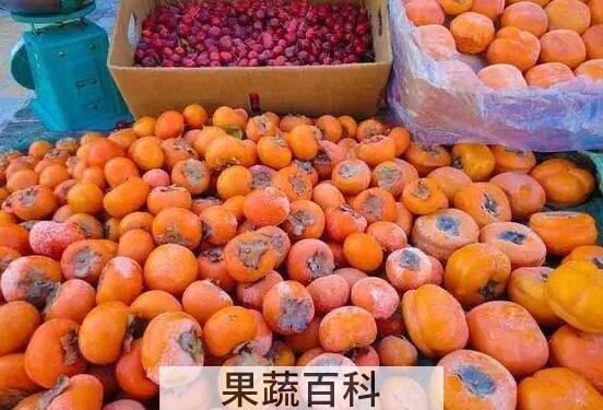 冻柿子的功效与作用 冻柿子的食用禁忌