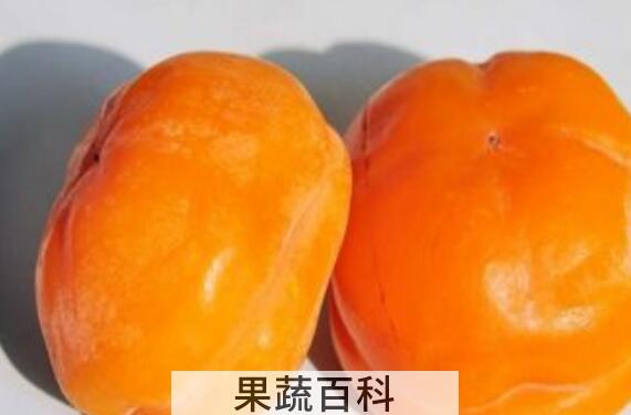 冻柿子的功效与作用 冻柿子的食用禁忌