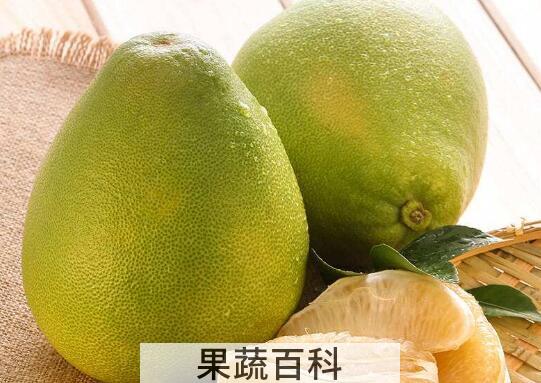  文旦柚的功效与作用及食用方法