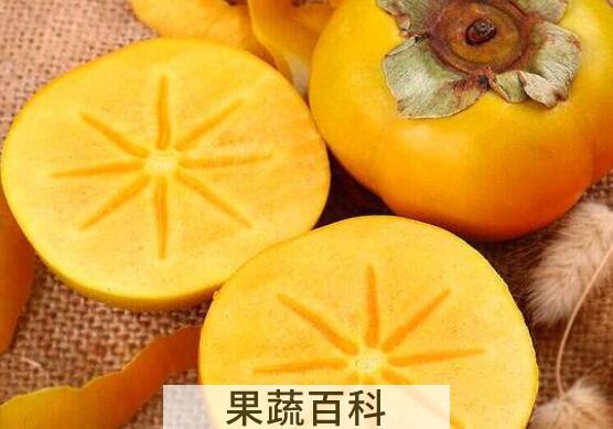 硬柿子不能和什么吃 吃硬柿子有什么禁忌