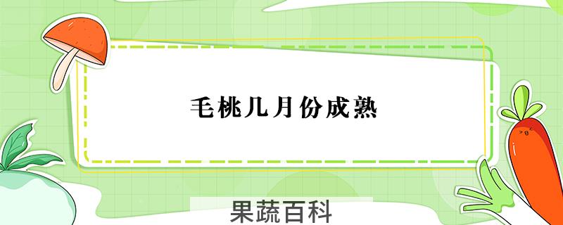 毛桃几月份成熟