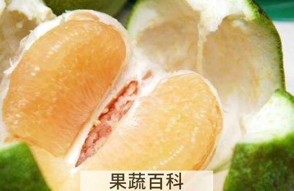 文旦柚和柚子的区别 吃柚子的好处