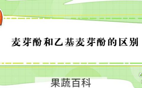 麦芽酚和乙基麦芽酚的区别