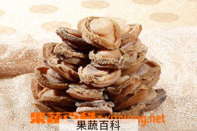 果蔬百科鲍鱼的营养价值有哪些