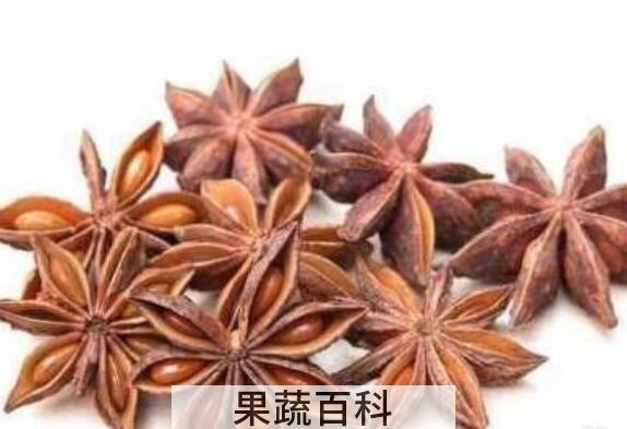 八角油的药用价值 八角油的用途