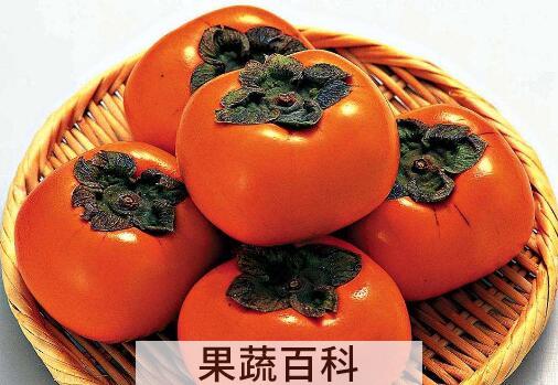 怎么判断脆柿有没有熟 脆柿是怎么形成的