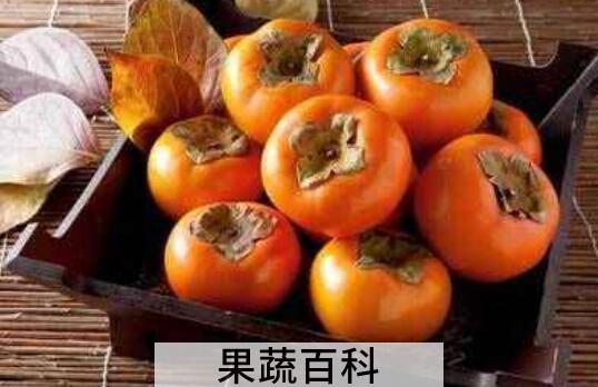 怎么判断脆柿有没有熟 脆柿是怎么形成的