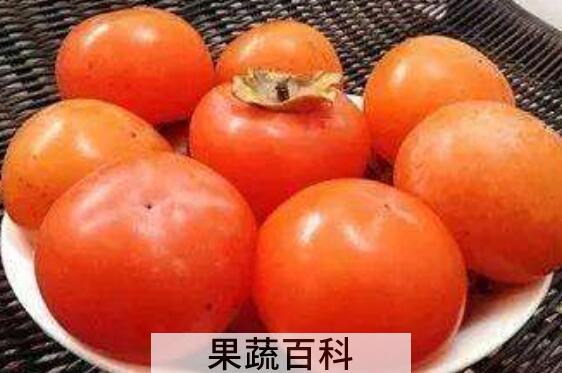 硬柿子和软柿子的区别有哪些