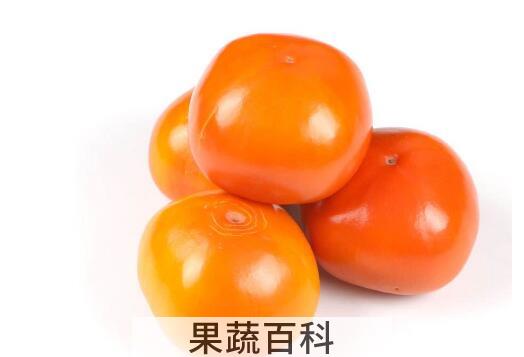脆柿子的功效与作用有哪些