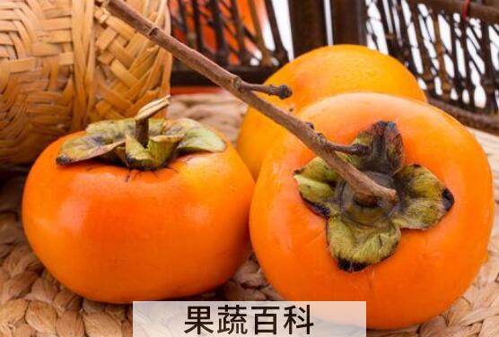 脆柿子的功效与作用有哪些