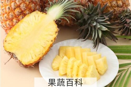 凤梨应该怎么挑选好吃 从外观如何挑选凤梨