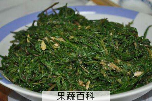 黄须菜的功效与禁忌 黄须菜什么人不能吃