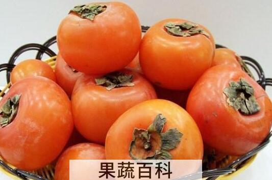 柿子涩怎么办可以又脆又甜