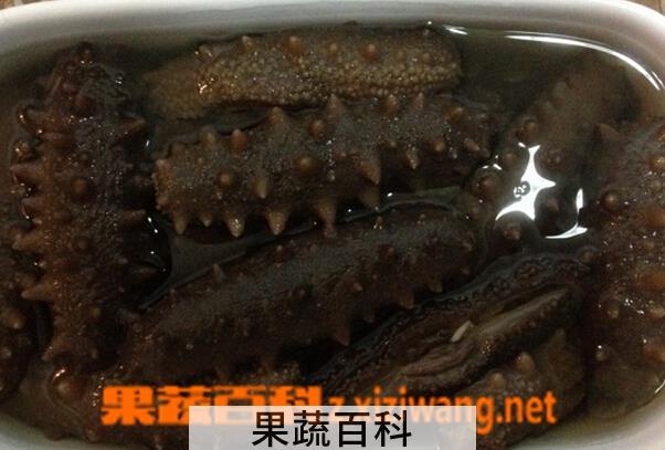 果蔬百科干海参怎么泡发