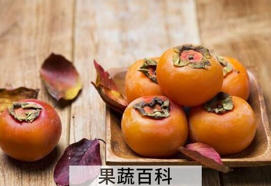 脆皮懒柿子怎么做 脆皮懒柿子的家常做法教程