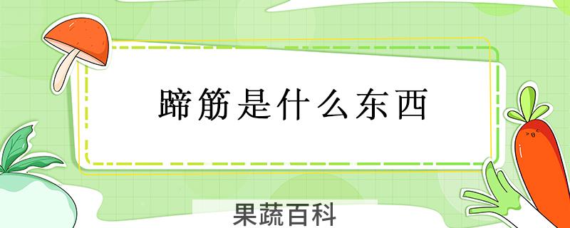 蹄筋是什么东西