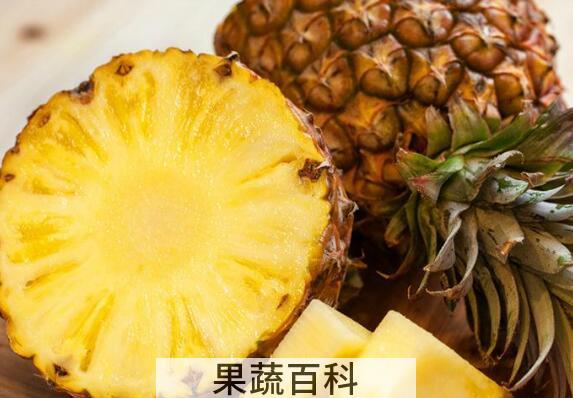 金菠萝与普通菠萝的区别 吃菠萝的好处