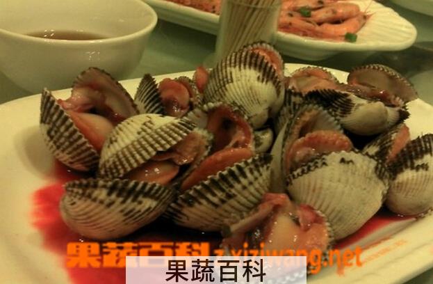 果蔬百科血蚶的功效与作用