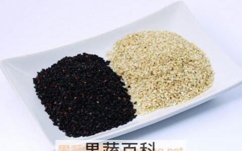 芝麻泡水喝有什么好处
