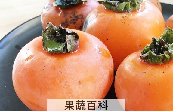 懒柿子的功效与作用及禁忌