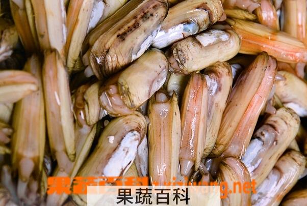 果蔬百科蛏子的功效与作用