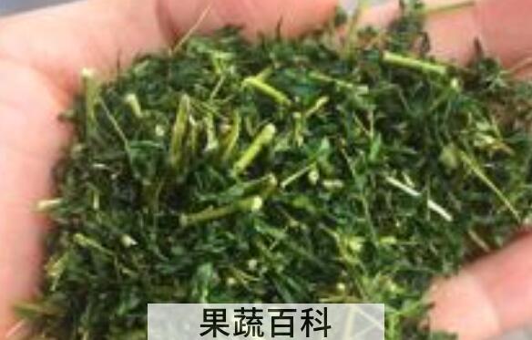 相思茶的功效与作用 相思茶的禁忌