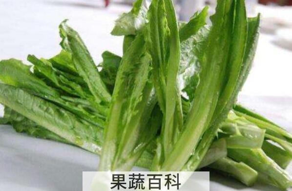 油麦菜的功效与作用